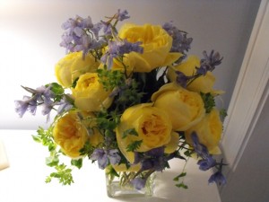 Yellow garden rose and delphinium