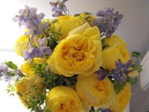 yellow garden rose and delphinium 3