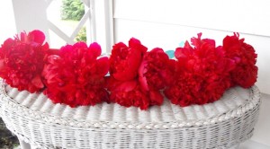 Red and aqua peony bouquets