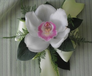 Cymbidium Orchid Corsage