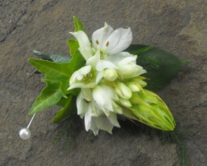 star of bethlehem ivy boutonniere