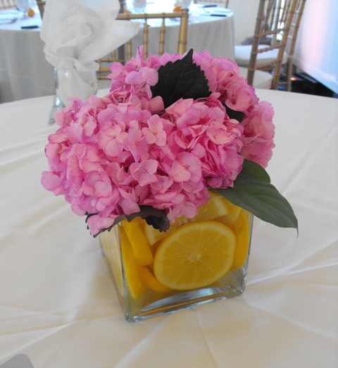 Sliced Oranges and Pink Hydrangea