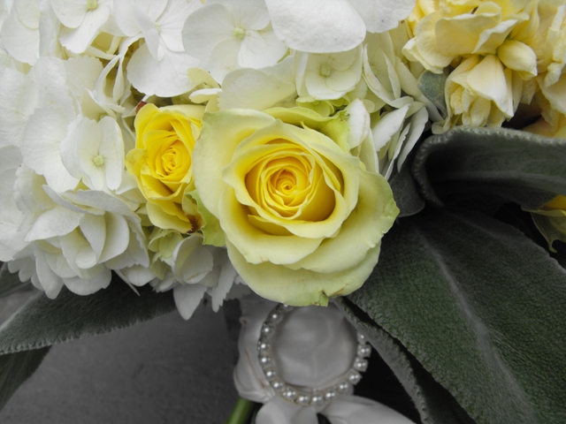 dahlia bouquet wrap close up