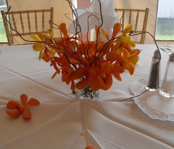 orange mokura orchid sweetheart table