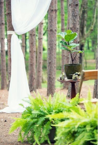 Colleen and Damian’s Simple Woodland Wedding- The Roxbury Barn